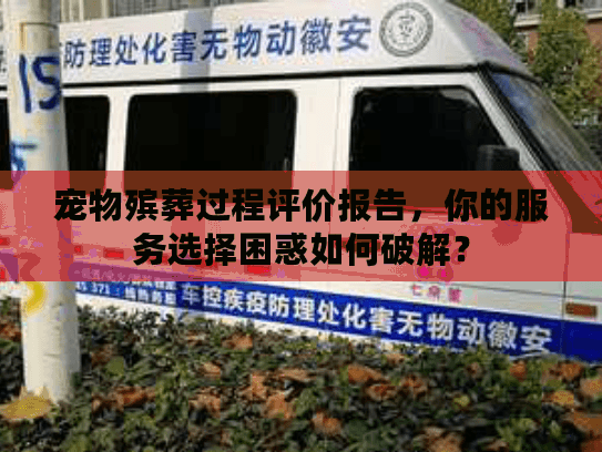 宠物殡葬过程评价报告，你的服务选择困惑如何破解？
