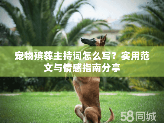 宠物殡葬主持词怎么写？实用范文与情感指南分享