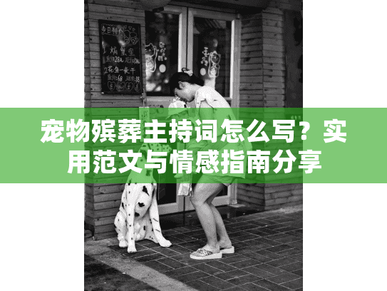 宠物殡葬主持词怎么写？实用范文与情感指南分享
