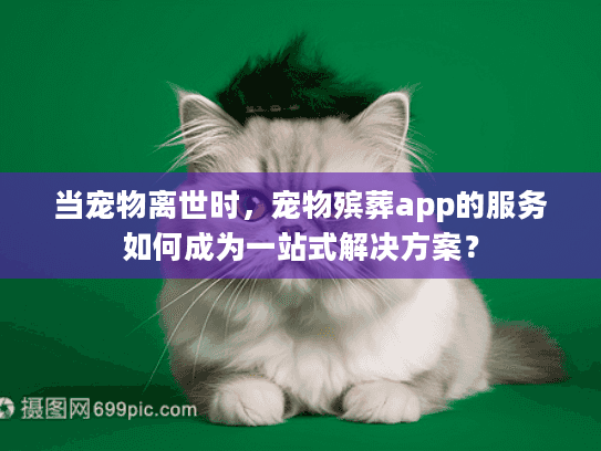 当宠物离世时，宠物殡葬app的服务如何成为一站式解决方案？