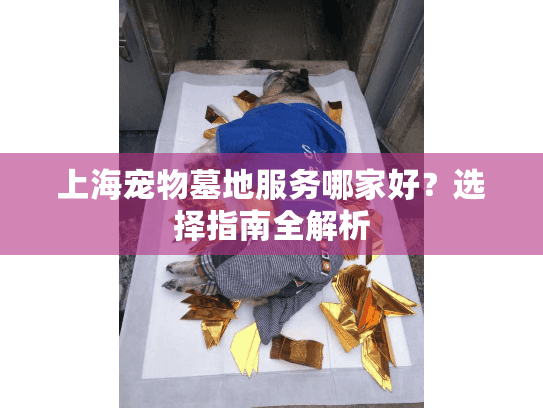 上海宠物墓地服务哪家好？选择指南全解析
