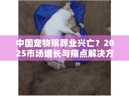 中国宠物殡葬业兴亡？2025市场增长与痛点解决方案揭秘