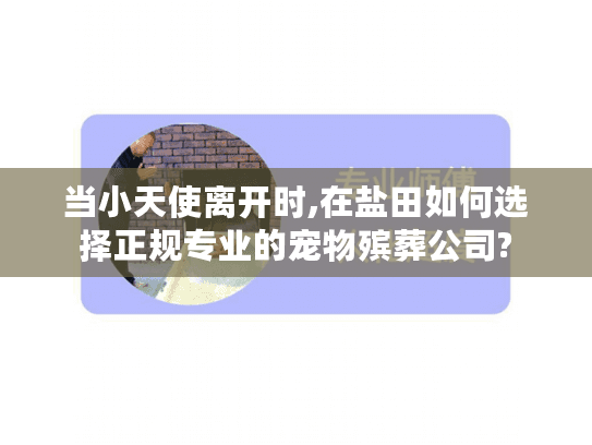当小天使离开时,在盐田如何选择正规专业的宠物殡葬公司?