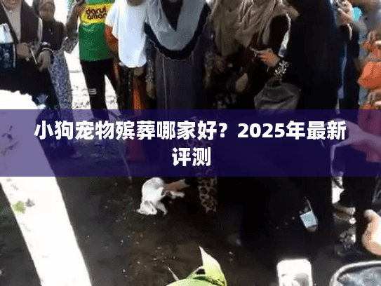 小狗宠物殡葬哪家好？2025年最新评测