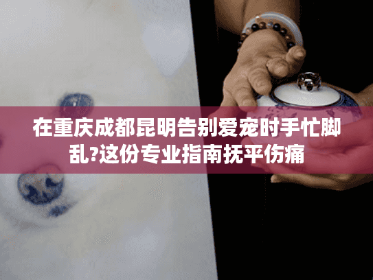 在重庆成都昆明告别爱宠时手忙脚乱?这份专业指南抚平伤痛