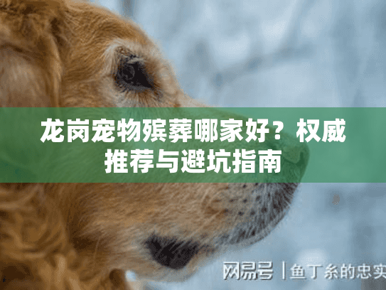 龙岗宠物殡葬哪家好？权威推荐与避坑指南