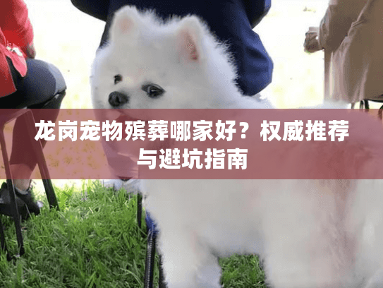 龙岗宠物殡葬哪家好？权威推荐与避坑指南
