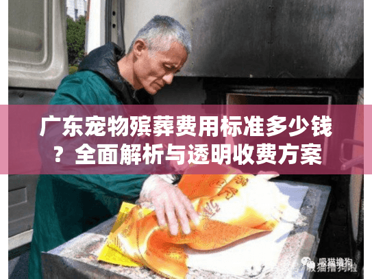 广东宠物殡葬费用标准多少钱？全面解析与透明收费方案