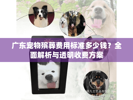 广东宠物殡葬费用标准多少钱？全面解析与透明收费方案