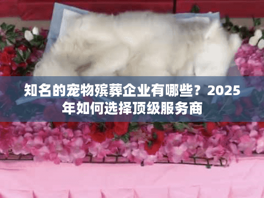 知名的宠物殡葬企业有哪些？2025年如何选择顶级服务商