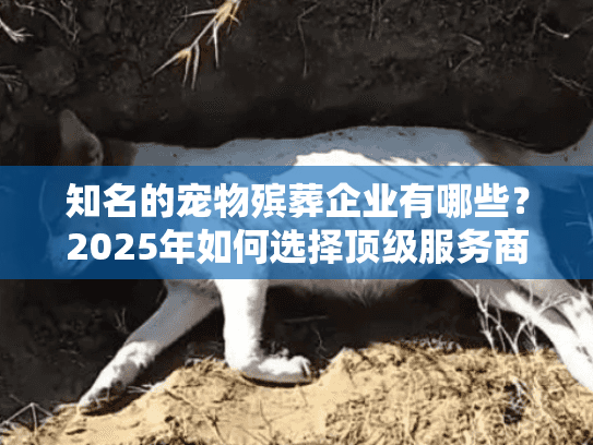 知名的宠物殡葬企业有哪些？2025年如何选择顶级服务商