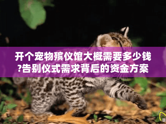开个宠物殡仪馆大概需要多少钱?告别仪式需求背后的资金方案