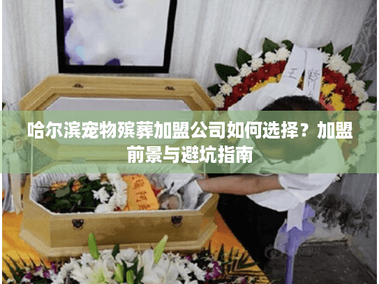 哈尔滨宠物殡葬加盟公司如何选择？加盟前景与避坑指南