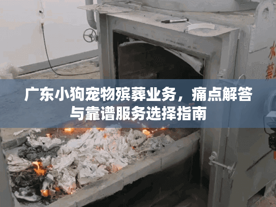 广东小狗宠物殡葬业务，痛点解答与靠谱服务选择指南