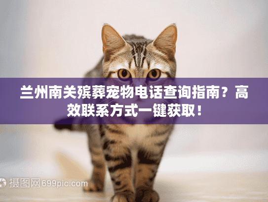 兰州南关殡葬宠物电话查询指南？高效联系方式一键获取！
