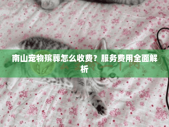 南山宠物殡葬怎么收费？服务费用全面解析