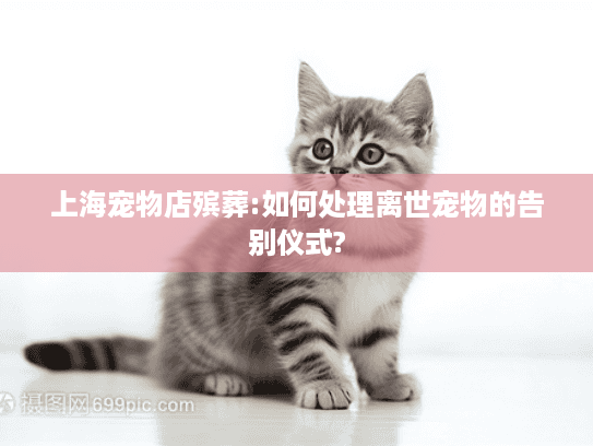 上海宠物店殡葬:如何处理离世宠物的告别仪式?