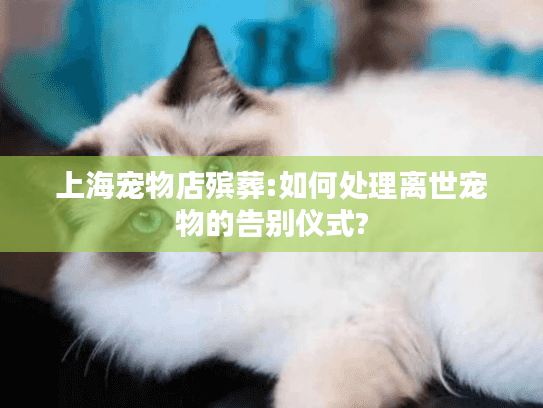 上海宠物店殡葬:如何处理离世宠物的告别仪式?