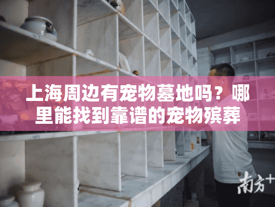 上海周边有宠物墓地吗？哪里能找到靠谱的宠物殡葬服务？