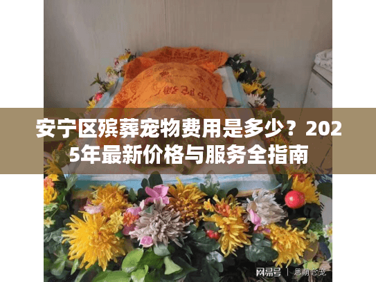 安宁区殡葬宠物费用是多少？2025年最新价格与服务全指南