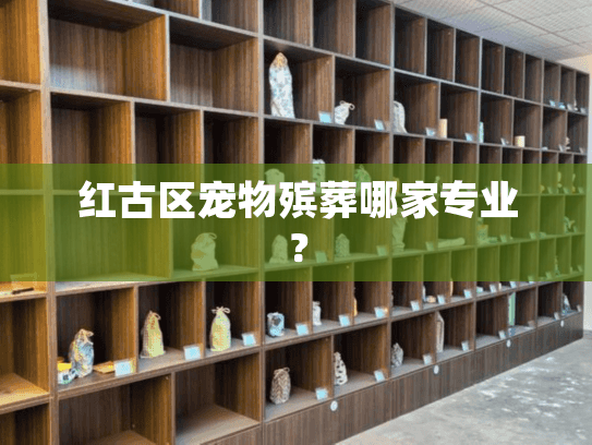 红古区宠物殡葬哪家专业？