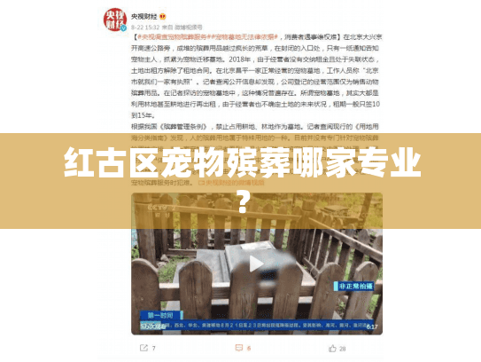 红古区宠物殡葬哪家专业？
