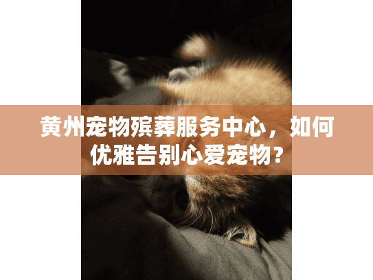 黄州宠物殡葬服务中心，如何优雅告别心爱宠物？