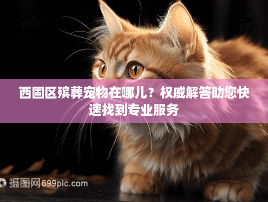 西固区殡葬宠物在哪儿？权威解答助您快速找到专业服务