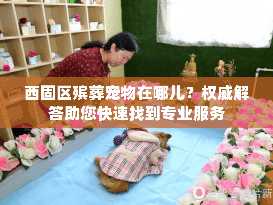西固区殡葬宠物在哪儿？权威解答助您快速找到专业服务