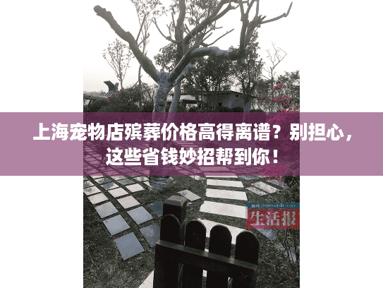 上海宠物店殡葬价格高得离谱？别担心，这些省钱妙招帮到你！
