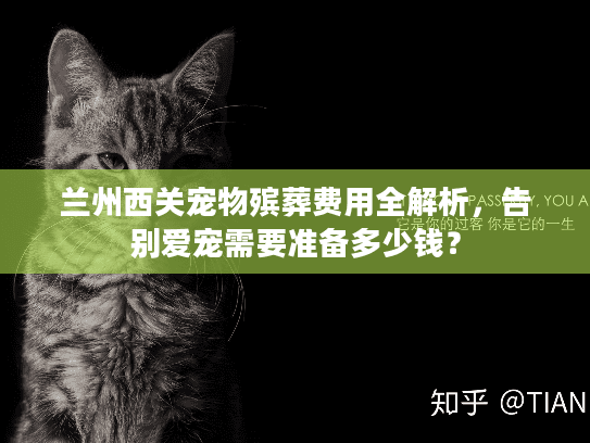 兰州西关宠物殡葬费用全解析，告别爱宠需要准备多少钱？