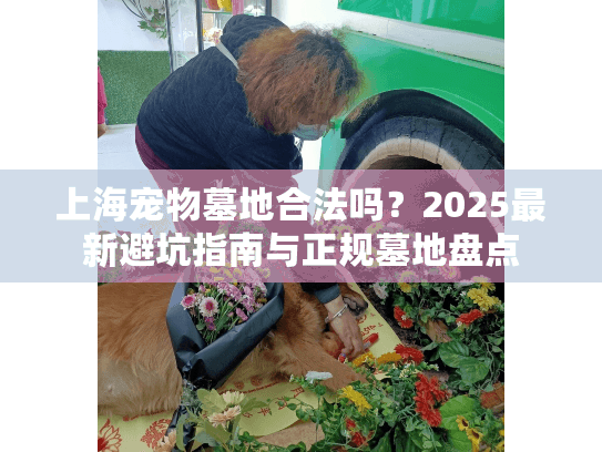 上海宠物墓地合法吗？2025最新避坑指南与正规墓地盘点