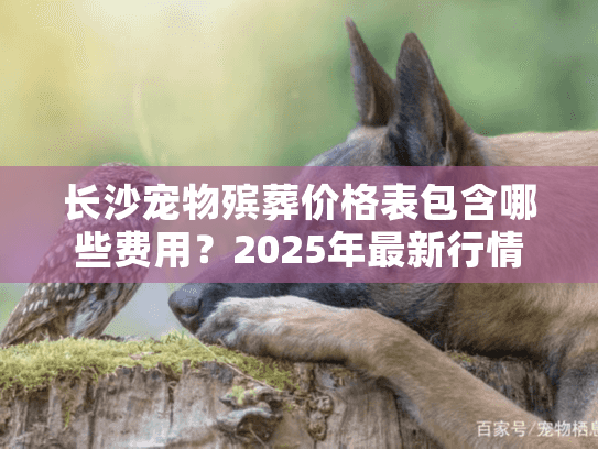 长沙宠物殡葬价格表包含哪些费用？2025年最新行情详解