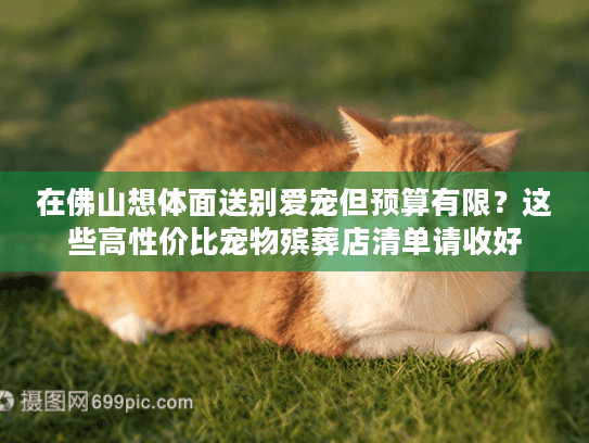 在佛山想体面送别爱宠但预算有限？这些高性价比宠物殡葬店清单请收好