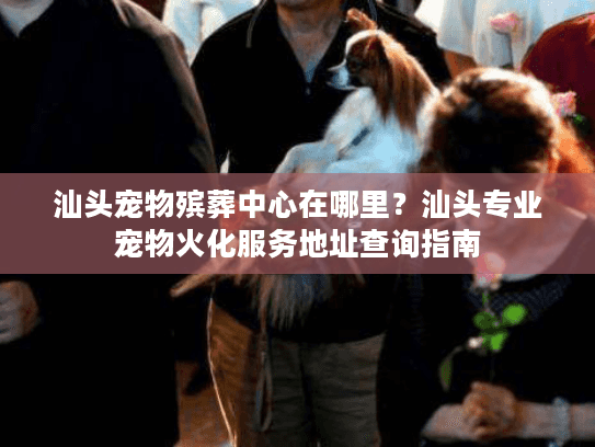 汕头宠物殡葬中心在哪里？汕头专业宠物火化服务地址查询指南