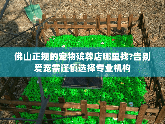 佛山正规的宠物殡葬店哪里找?告别爱宠需谨慎选择专业机构