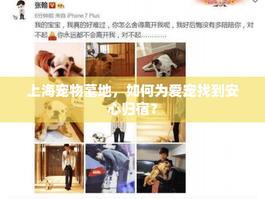 上海宠物墓地，如何为爱宠找到安心归宿？