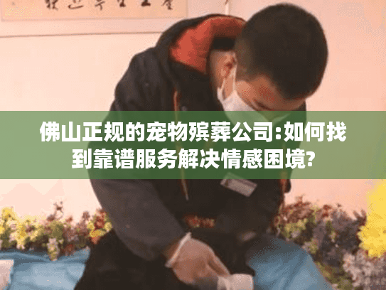 佛山正规的宠物殡葬公司:如何找到靠谱服务解决情感困境?
