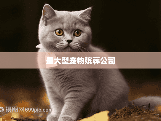 最大型宠物殡葬公司