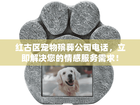 红古区宠物殡葬公司电话，立即解决您的情感服务需求！