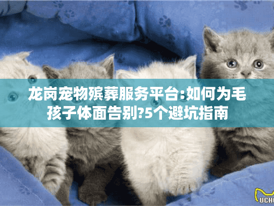 龙岗宠物殡葬服务平台:如何为毛孩子体面告别?5个避坑指南