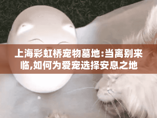 上海彩虹桥宠物墓地:当离别来临,如何为爱宠选择安息之地