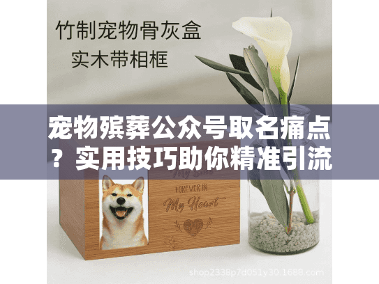宠物殡葬公众号取名痛点？实用技巧助你精准引流