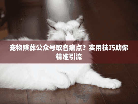 宠物殡葬公众号取名痛点？实用技巧助你精准引流