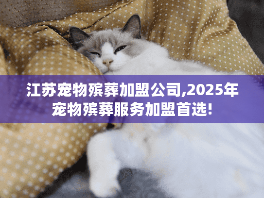 江苏宠物殡葬加盟公司,2025年宠物殡葬服务加盟首选!