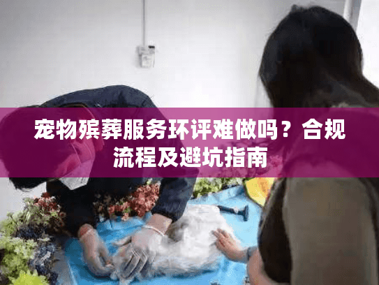 宠物殡葬服务环评难做吗？合规流程及避坑指南