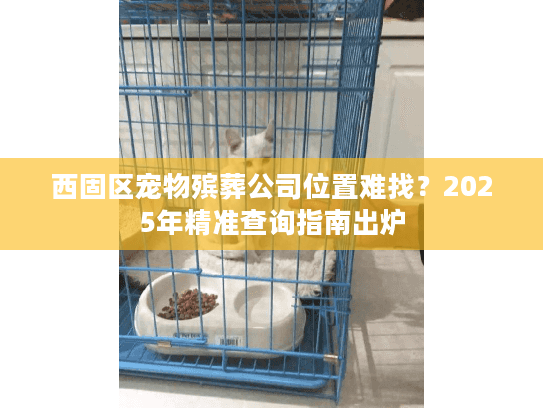 西固区宠物殡葬公司位置难找？2025年精准查询指南出炉