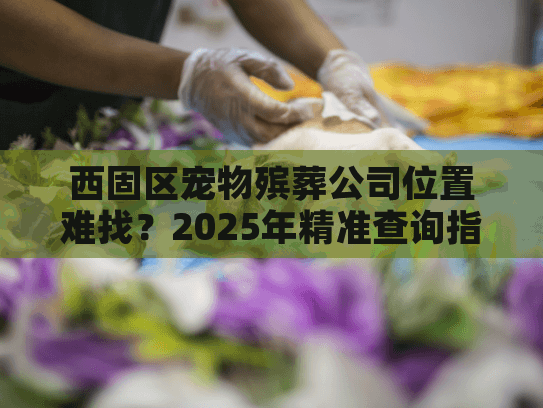 西固区宠物殡葬公司位置难找？2025年精准查询指南出炉
