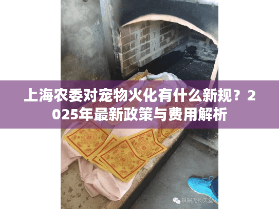 上海农委对宠物火化有什么新规？2025年最新政策与费用解析