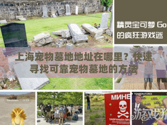 上海宠物墓地地址在哪里？快速寻找可靠宠物墓地的方法